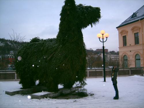 Elena und der Drache von Sundsvall